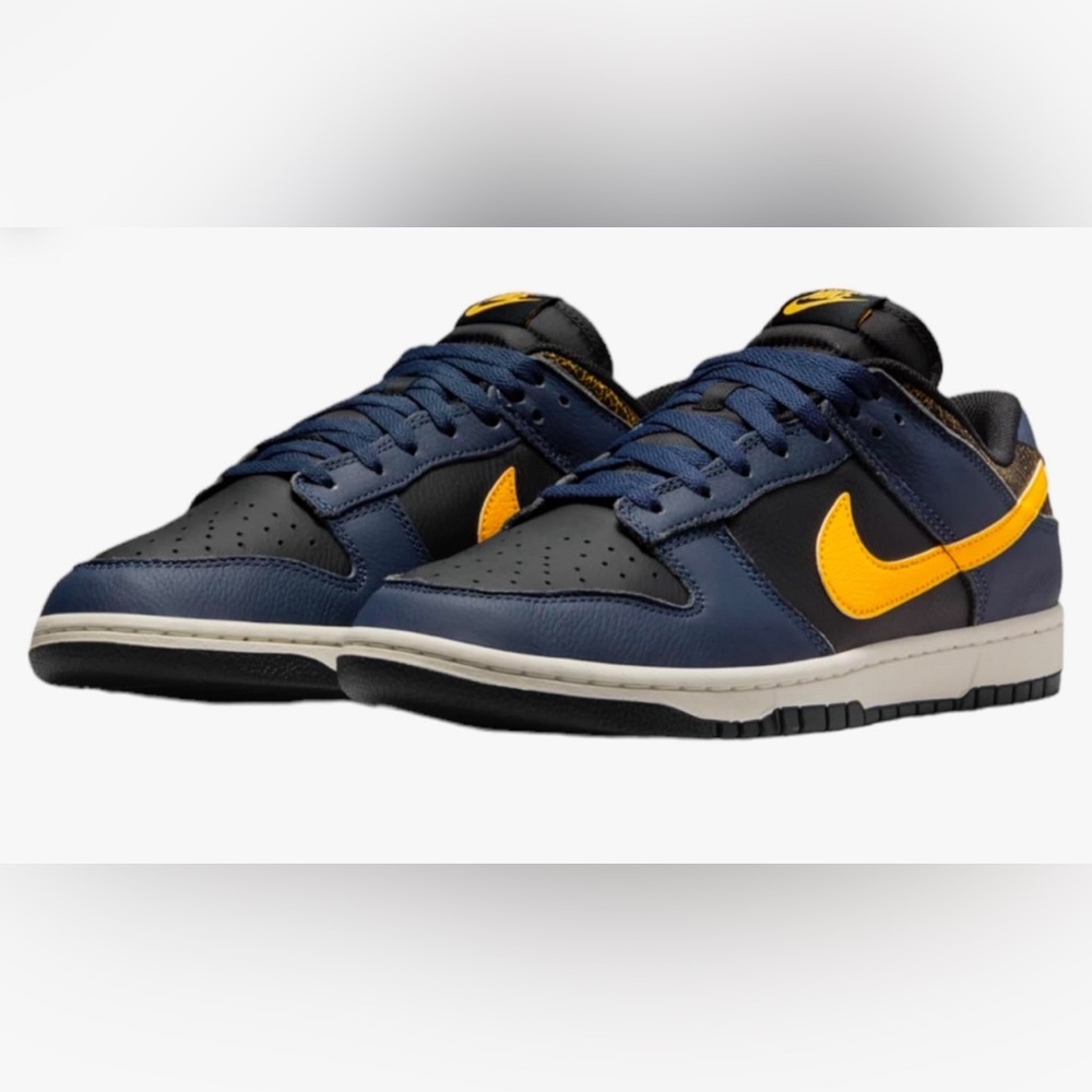 Men’s Nike Dunk Michigan colors